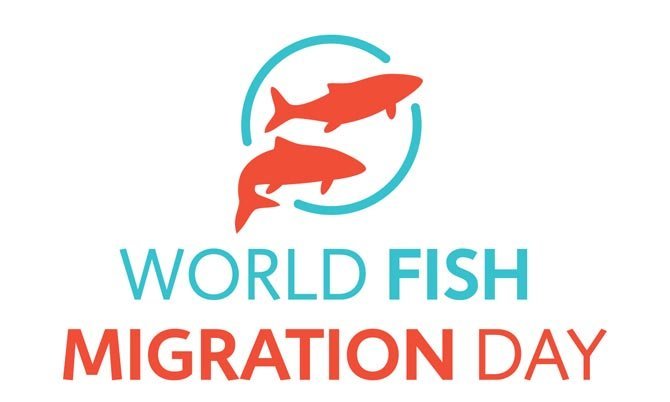 Día Mundial de los Peces Migradores.