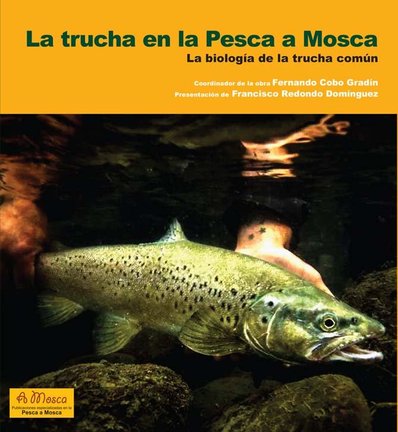 La trucha en la Pesca a Mosca / Fernando Cobo